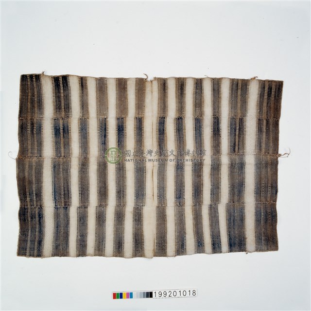 女子披肩式上衣