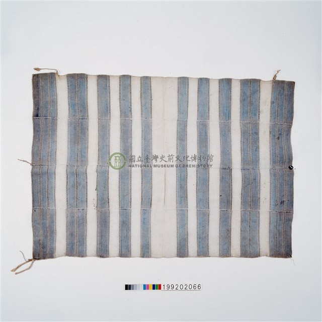 女子披肩式上衣