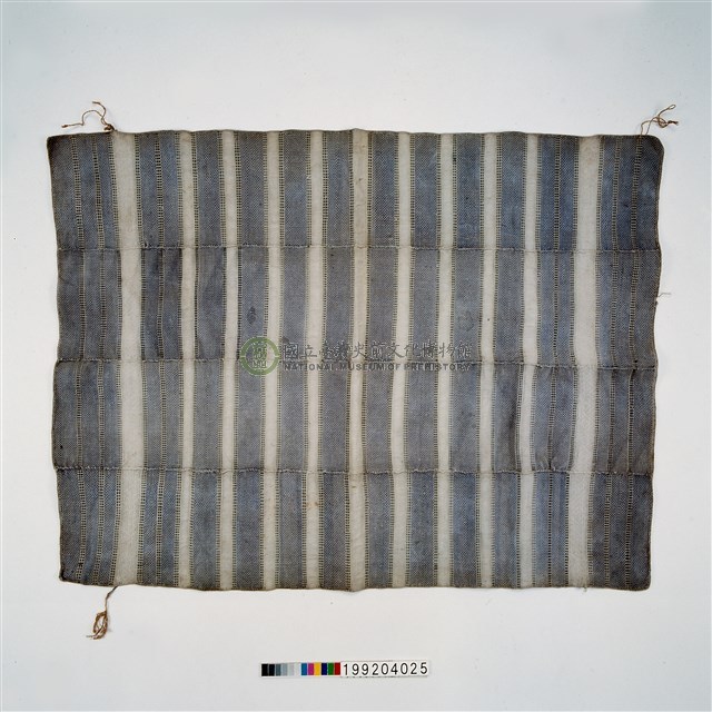 女子披肩式上衣