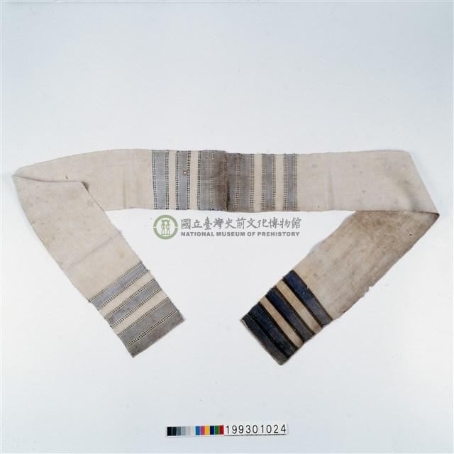 丁字帶