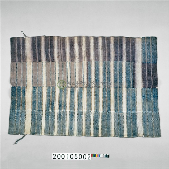 女子披肩式上衣