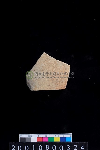 腹片