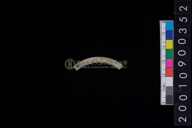玉耳飾