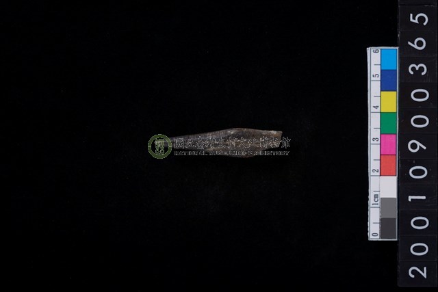 骨尖器