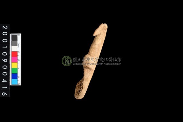 骨叉