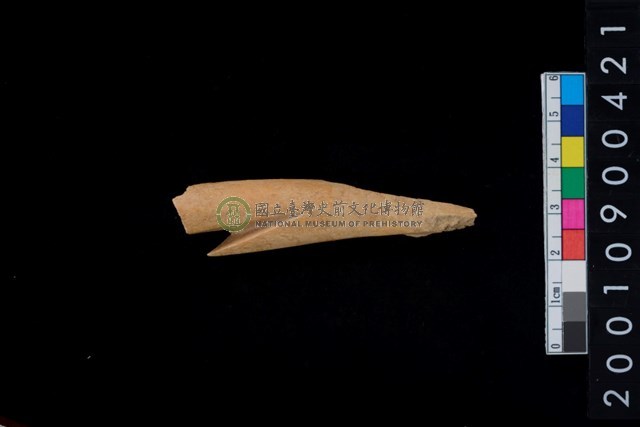 骨叉