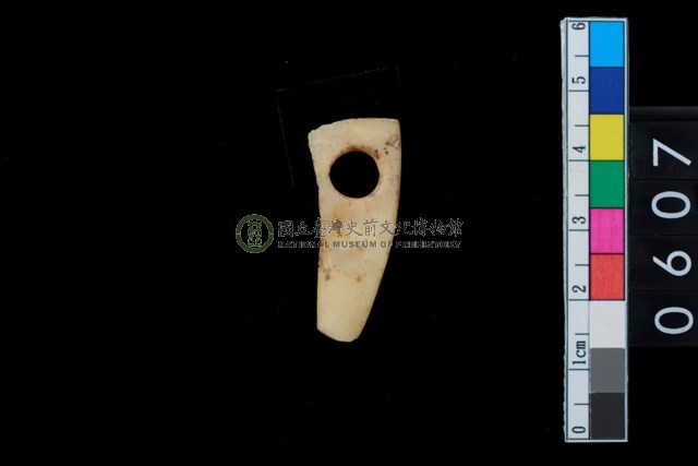 帶穿牙飾