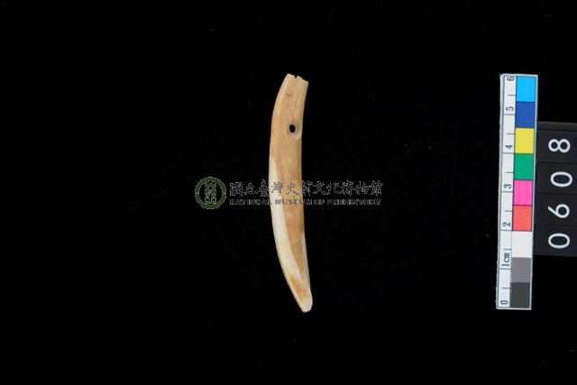 帶穿牙飾