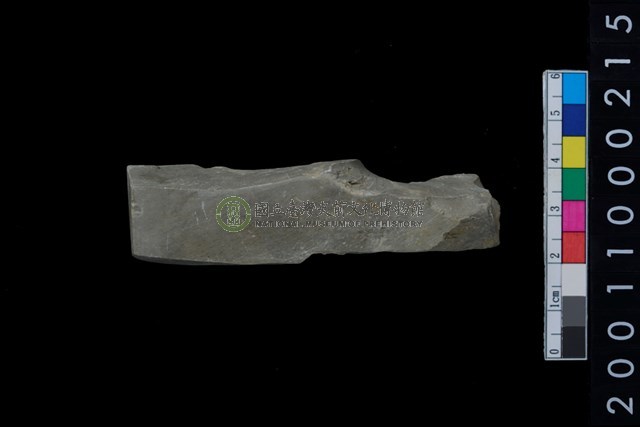 石錛殘件