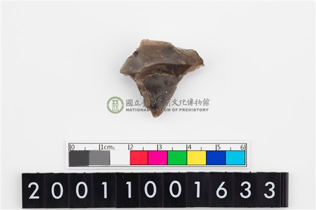 刮削器