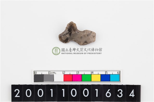 刮削器