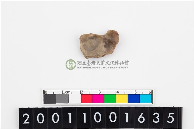 刮削器