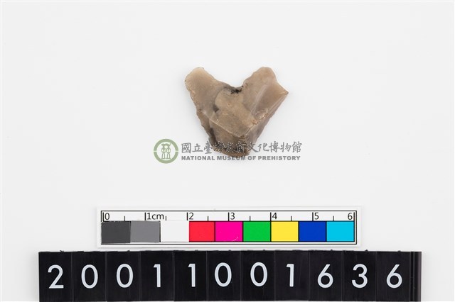刮削器