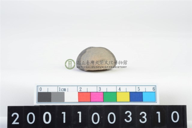 陶紡輪