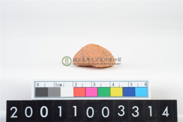 陶紡輪