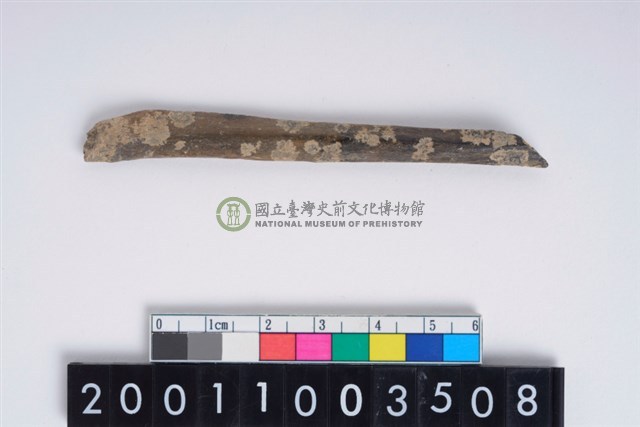 兩端尖器