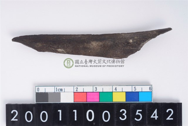 骨尖器