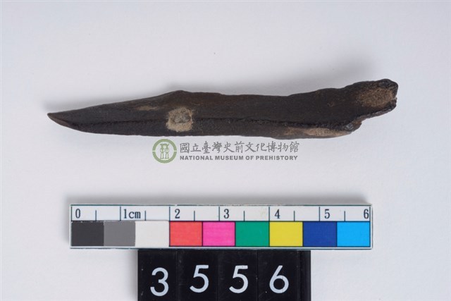 骨尖器