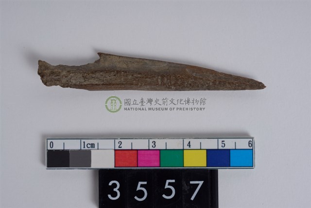 骨尖器