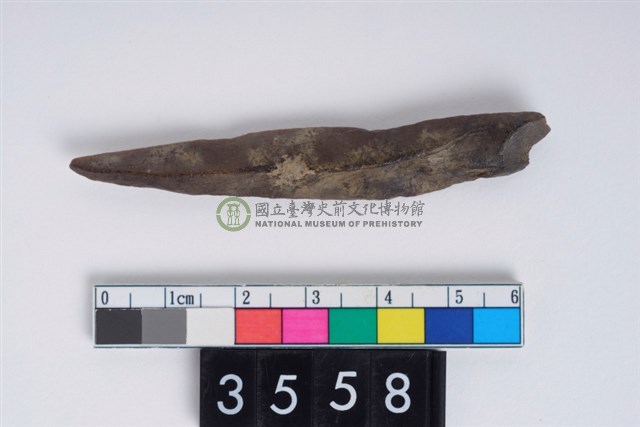 骨尖器