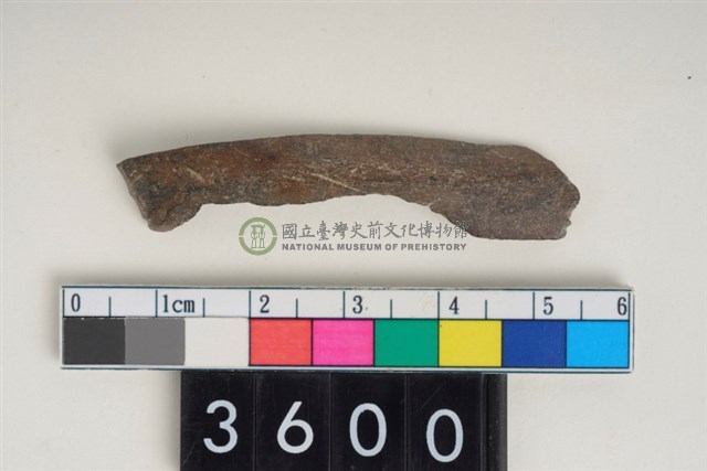 骨尖器