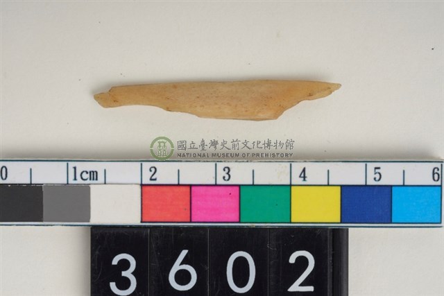 骨尖器
