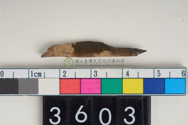 骨尖器