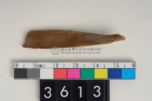 骨尖器