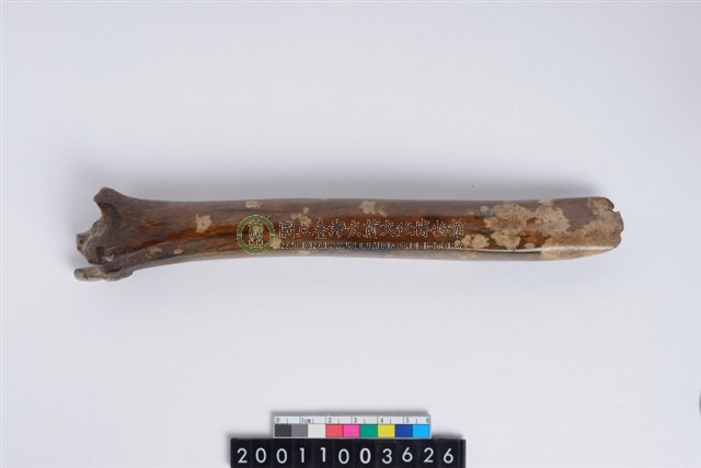 骨鑿器