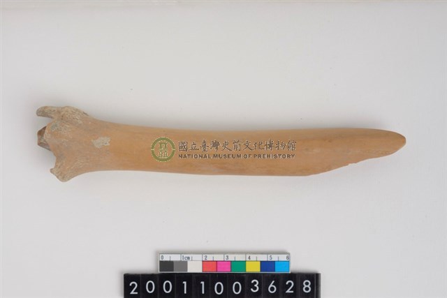 骨鑿器