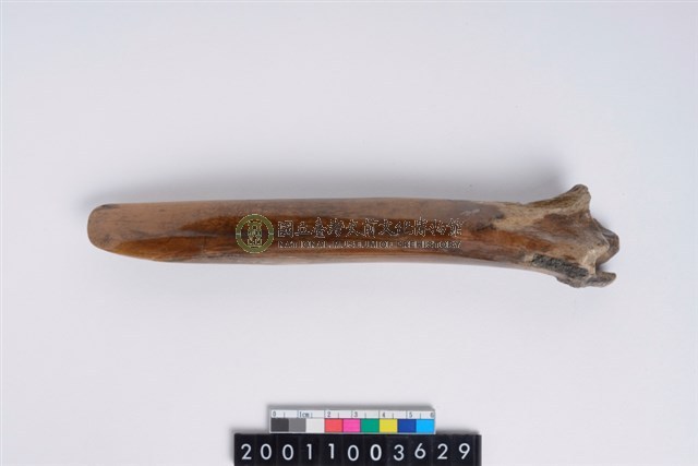 骨鑿器