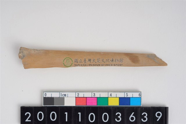 骨鑿器