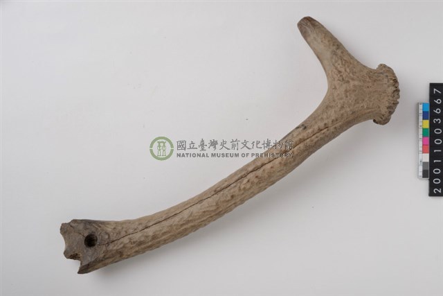 角槌器