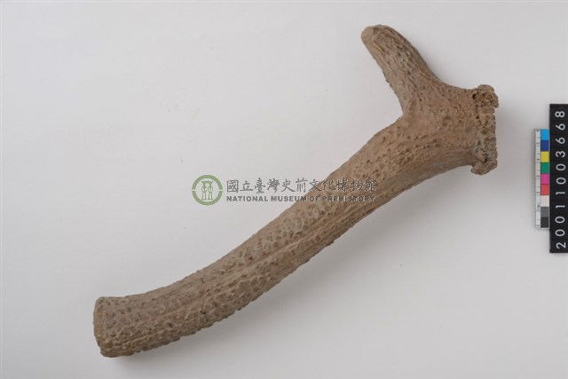 角槌器