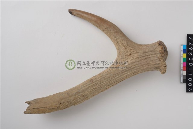 角尖器