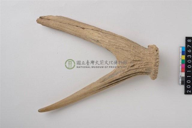 角尖器