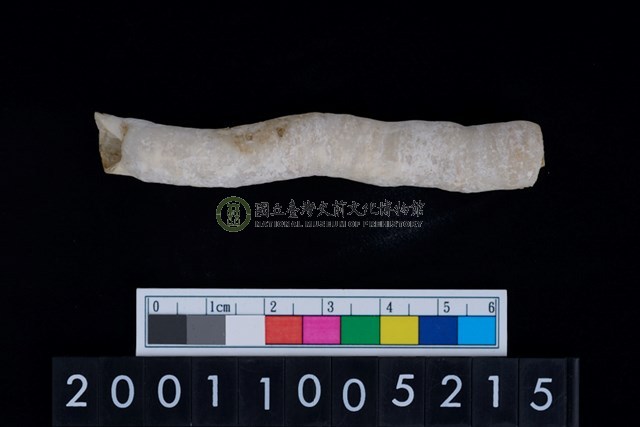 管蛤