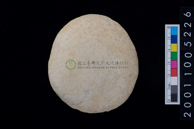 蠑螺口蓋