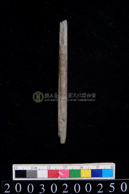 石錐