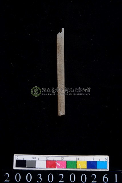 石錐