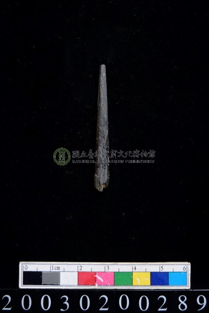 石錐
