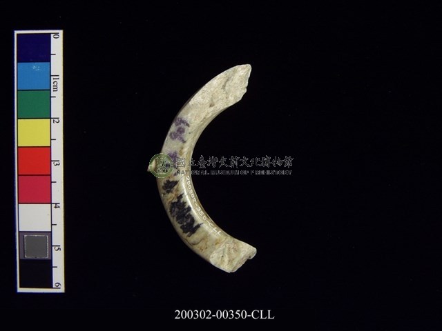 帶四突起環狀玦形玉耳飾