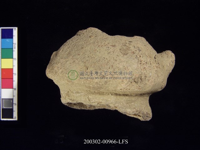 雙豎把矮圈足陶罐