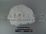 白雲岩