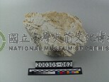 正長石