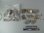 白雲母