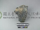 硬綠泥岩