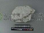 石膏
