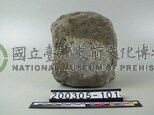 貝殼化石