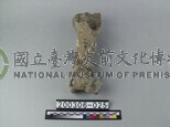 牛肢骨